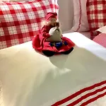 بيت للعطل Birdie *