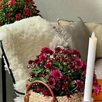 Birdie * ناتالي