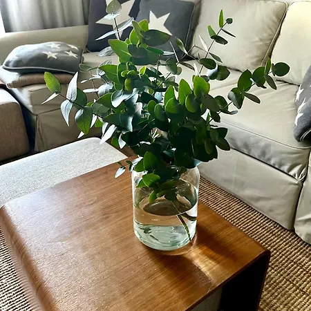 Birdie 度假居 纳坦利