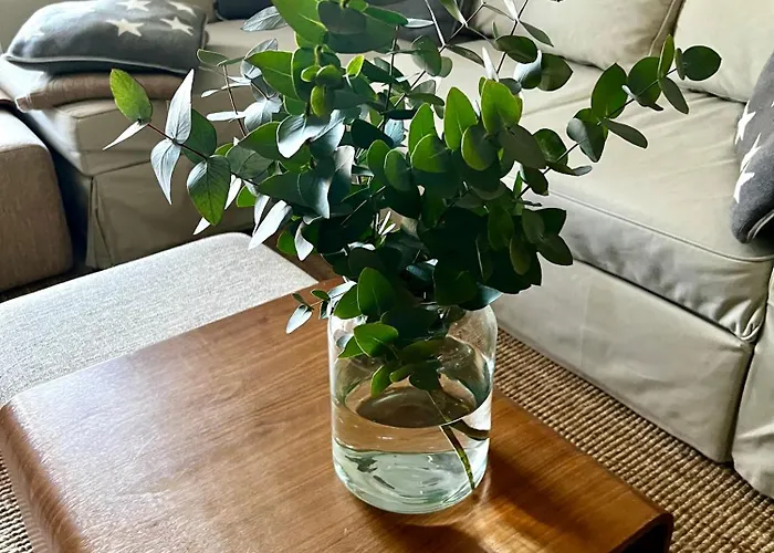 Birdie Nyaraló Naantali